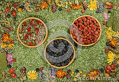 Set of spices, dry seeds with a high content of antioxidants, minerals and vitamins. Fruits of black and red mountain ash, Stock Photo