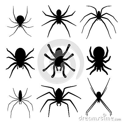 Set of spider silhouette vector icon. Top view Vector Illustration