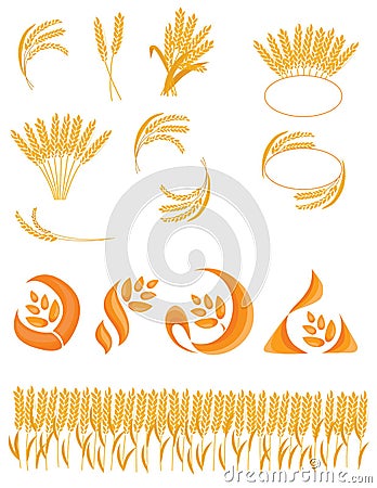 Set of spikelets of wheat. Collection of logos with wheat. Vector illustration of a plant. Logo of cereals. Vector Illustration