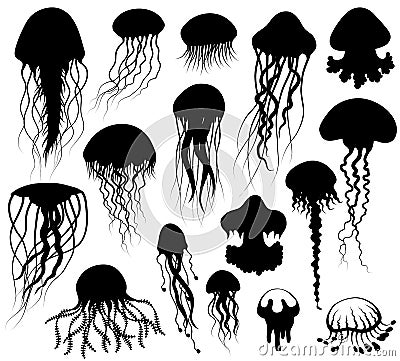 Set of jellyfish Silhouettes Vector Illustration