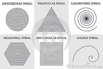 Set of spirals of different types: archimedean, geometric, rectangular, triangular, hexagonal and golden ratio. Vector editable Vector Illustration