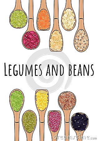 Set of spoons with beans and legumes Vector Illustration