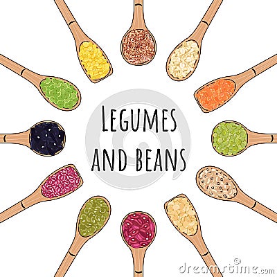 Set of spoons with beans and legumes Vector Illustration