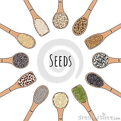 Set of spoons with seeds. Top view. Round frame Vector Illustration