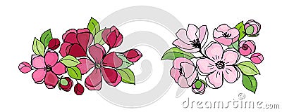 Set of spring apple flowers isolated objects on white background. Colorful vector set with black outline for season design Vector Illustration