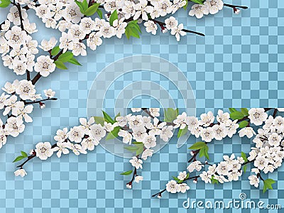 Set of spring blooming fruit tree branches Vector Illustration