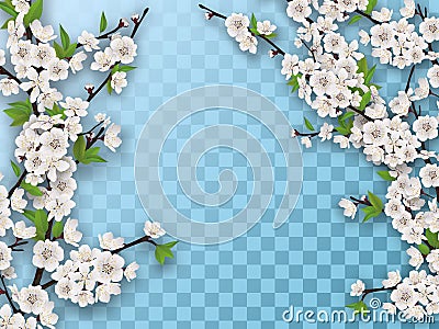 Set of spring blooming fruit tree branches Vector Illustration