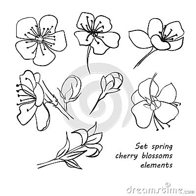 Set of spring cherry blossom flowers. Hand drawing. Cartoon Illustration