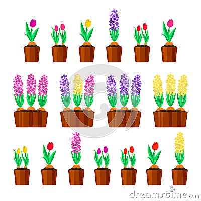 Set of spring flowers. Tulips and hyacinths. Vector illustration Vector Illustration