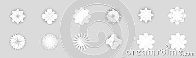 Spring White Flat Style Elegant Flowers Vector Illustration