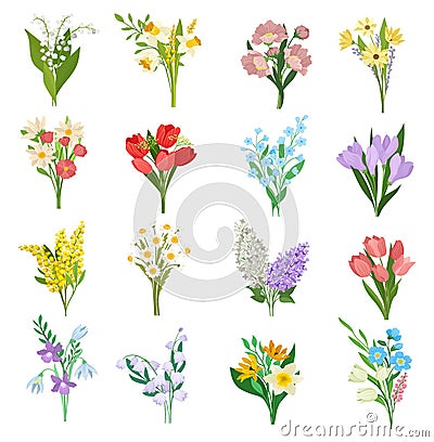 Set of spring wild and garden flowers. Crocus, tulip, mimosa, lily of the valley, lilac and daffodil cartoon vector Cartoon Illustration