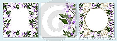 Set of square botanical template for greeting cards or invitations. Chinaberry flowers Vector Illustration