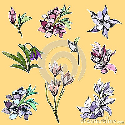 A set of stickers of bright flowers and bouquets. Delicate pink and purple flowers. Vector illustration Vector Illustration