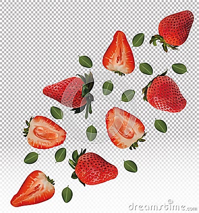 Set of strawberries with leaves on transparent background. Strawberry fruits are whole and cut in half. Useful ripe Vector Illustration