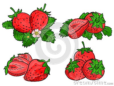 Set of strawberry fruit isolated on white. Different type of pieces. Vector Illustration