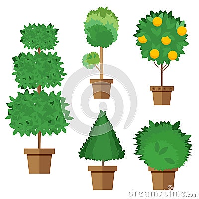 Set of street trees and shrubs in pots. Vector, illustration in flat style isolated on white background EPS10. Vector Illustration