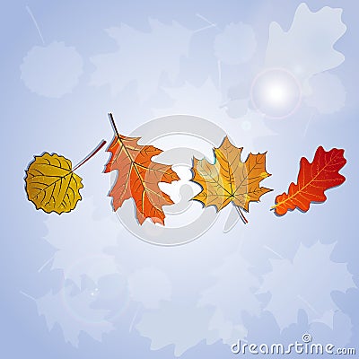 A set of stylized autumn leaves with black outline. Stock Photo