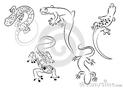 Set of stylized lizard. A collection of decorative lizards. Black white reptile illustration. Vector logo lizards Vector Illustration