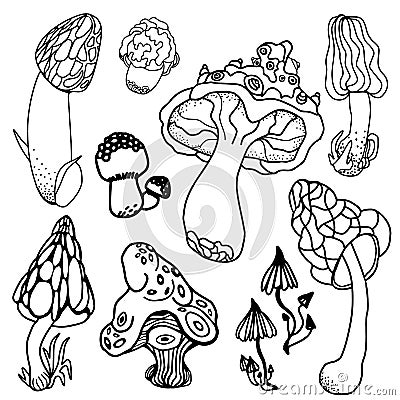 Set of stylized psychedelic mushrooms. Coloring page hallucinogenic, fantazy, magic mushrooms. Black and white isolated Cartoon Illustration