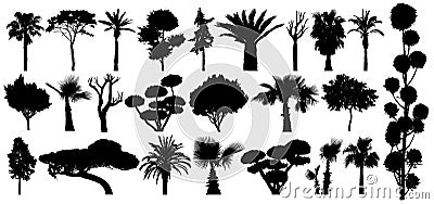 Set of subtropical trees and shrubs. Isolated vector silhouette on a white background Vector Illustration