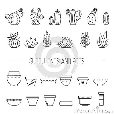 Set of succulent plants, cactuses and pots..Linear botanical vector elements. Vector Illustration