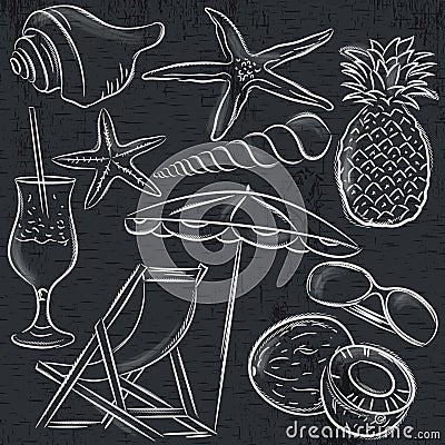 Set of summer symbols, clams, shells, cocktail, starfish Vector Illustration