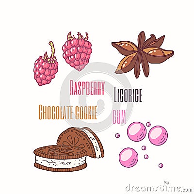 Set of sweet toppings anise, raspberry, chocolate cookie and bubble gum. Hand drawn food Vector Illustration
