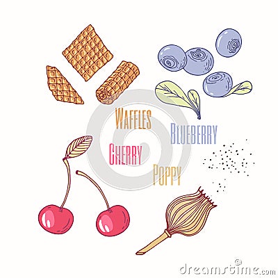 Set of sweet toppings - waffles, blueberry, cherry and poppy. Hand drawn food Vector Illustration