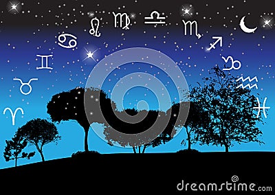 Set of Symbol Zodiac Sign. Vector Illustration. Vector Illustration