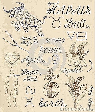 Set of symbols for zodiac sign Taurus or Bull Vector Illustration