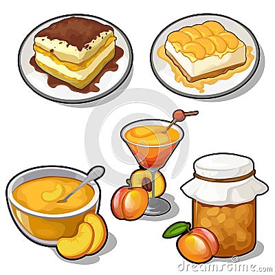 Set of tasty dishes made from apricot Vector Illustration