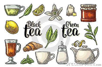 Set tea with lettering. Vector vintage engraving Vector Illustration