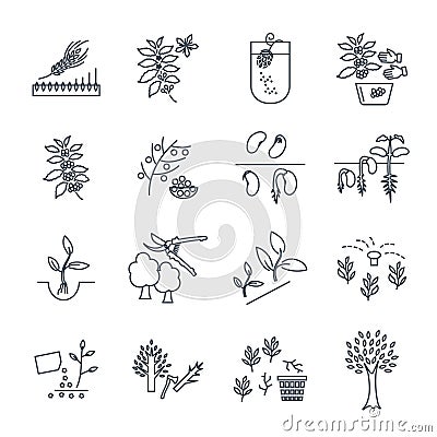 Set of thin line icons plant, herb, grower, coffee, beans Vector Illustration