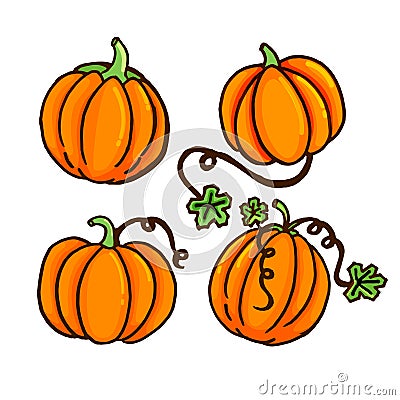 Set of thin outline cute and fresh pumpkins vector illustration isolated on white background. hand drawn vector. doodle fruit and Vector Illustration