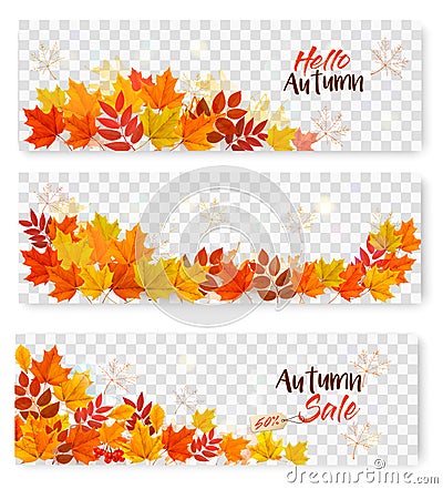 Set Of Three Autumn Sale Banners With Colorful Leaves Vector Illustration