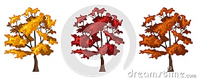 Set of three autumn trees. Vector illustration. Vector Illustration