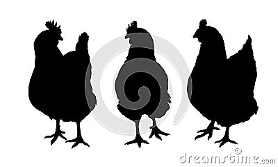 Set of three black silhouettes of hens and chickens pecking standing and walking on white background Vector Illustration