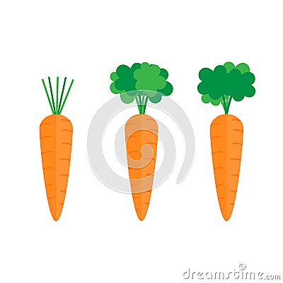 Set of three carrots vector illustration Vector Illustration