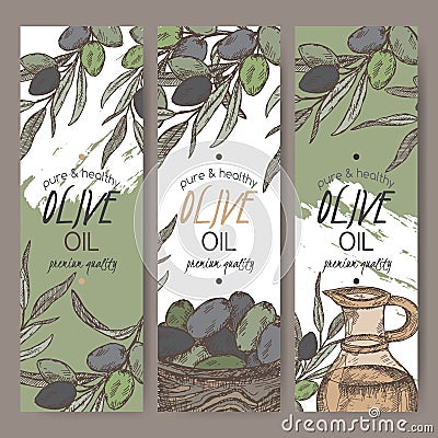 Set of three color vector olive oil label templates. Vector Illustration