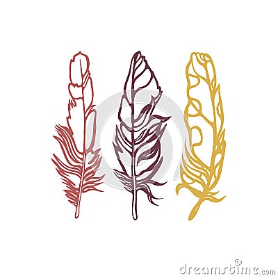 A set of three feathers. Contour drawing. Hand drawn. Vector Illustration