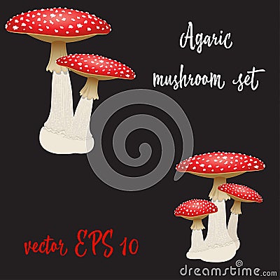 Set of three fly agaric mushrooms isolated on black background. Vector Illustration Stock Photo