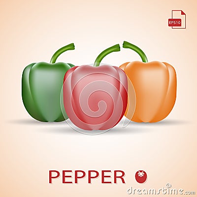 Set Of Three Fresh Sweet Peppers Green, Red And Orange. Vector Illustration