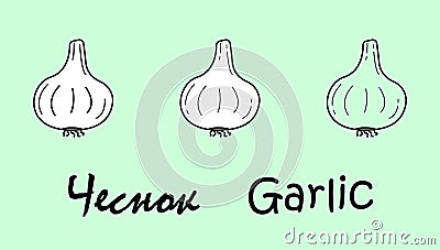 A set of three garlic objects with the inscription 