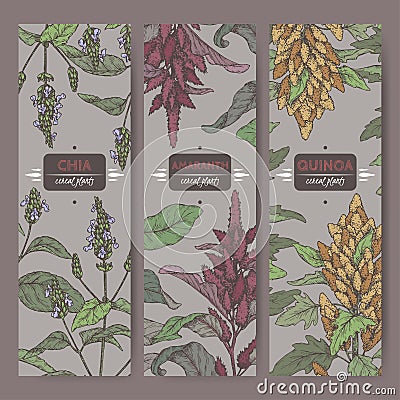 Set of three labels with amaranth, quinoa and chia color sketch. Cereal plants collection. Vector Illustration