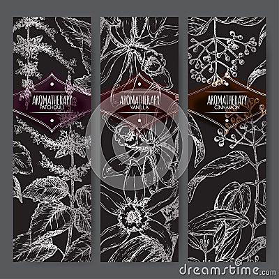 Set of three labels with patchouli, vanilla and cinnamon on black. Vector Illustration