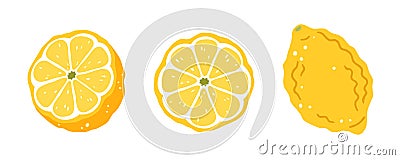 Set of three lemons on a white background. Vector illustration Vector Illustration