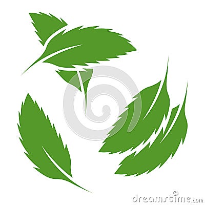 A set of three multicolored mint leaf icons in different locations. Image of a single sheet, two parallel sheets and two Vector Illustration