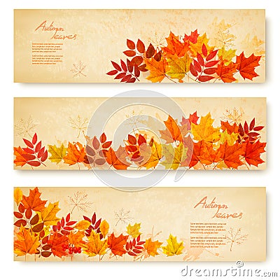 Set of three nature banners with colorful autumn leaves. Vector Illustration