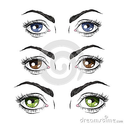Set of three pairs of eyes, green, blue and Brown Vector Illustration