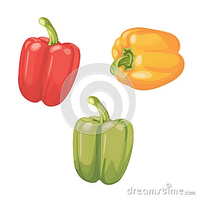 Set of three peppers. Yellow, red, green pepper. Vector Illustration